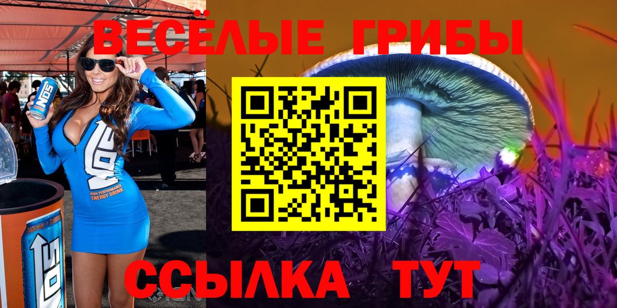 Новоалександровск  Псилоцибиновые грибы мицелий  Вход с VPN  Псилоцибиновые грибы прущие грибы 